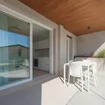 Key West Apartment
